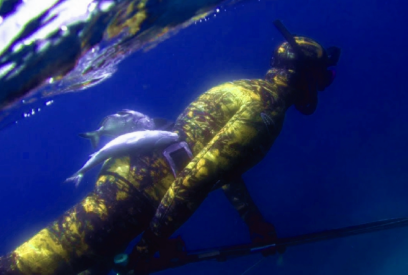 Combinaison de chasse sous marine sur mesure avec ou sans camouflage néoline watersport